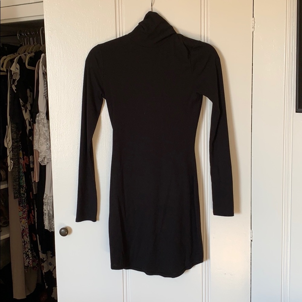 Tobi turtle neck dress